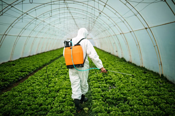Eastmont, WA Pest Control Company
