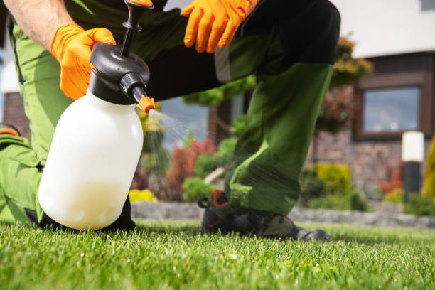 Best Affordable Pest Control Services  in Eastmont, WA