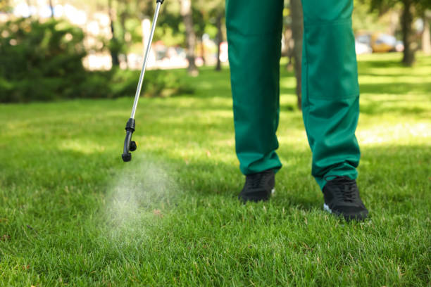 Best Affordable Pest Control Services  in Eastmont, WA