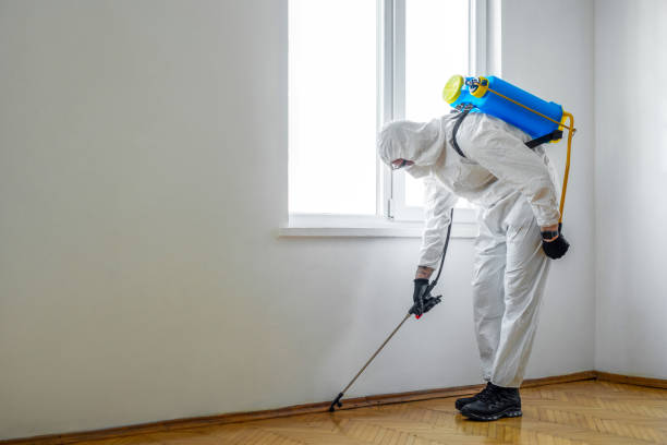 Best Pest Control Near Me  in Eastmont, WA
