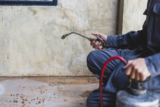 Best Pest Control Near Me in Eastmont, WA